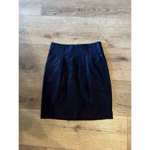 Banana Republic Womens Blue A-line Skirt Size 4 NWT